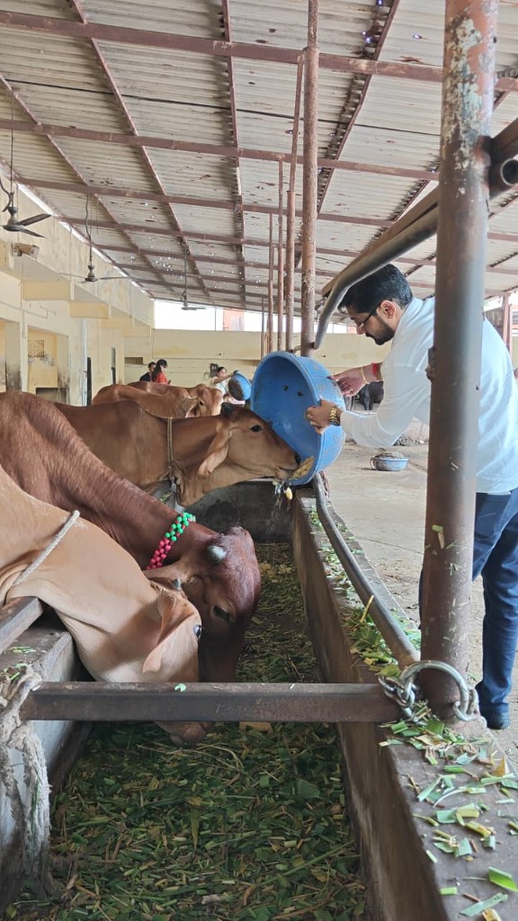 Cow protection and gau seva
