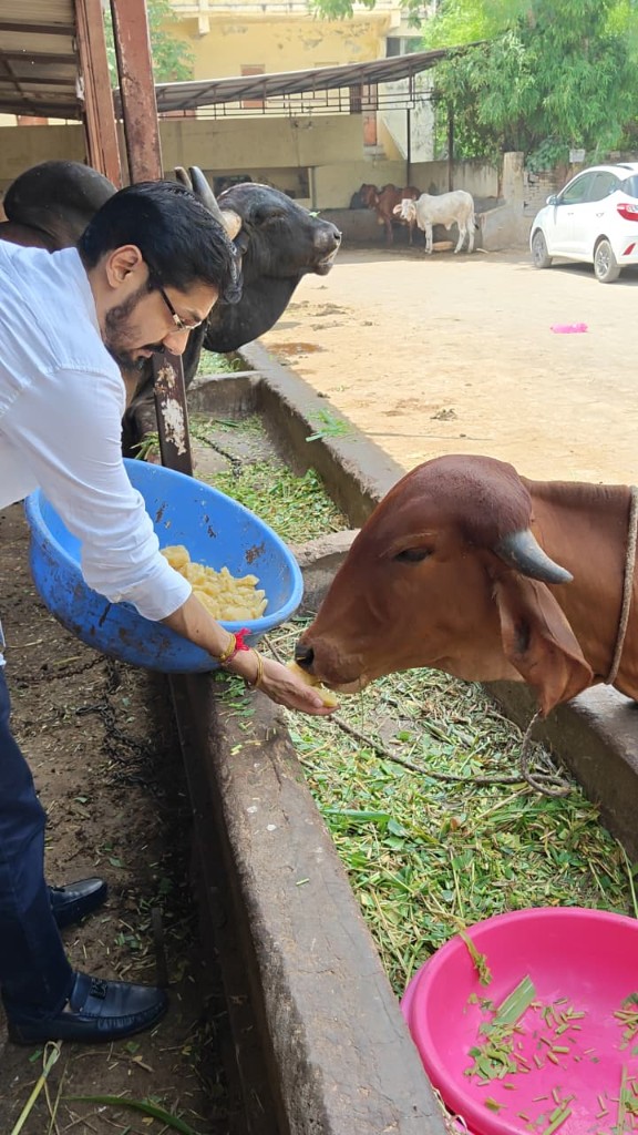 Cow Protection initiative
